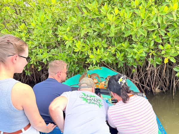 Monkey Feeding Happily from Boat Edge